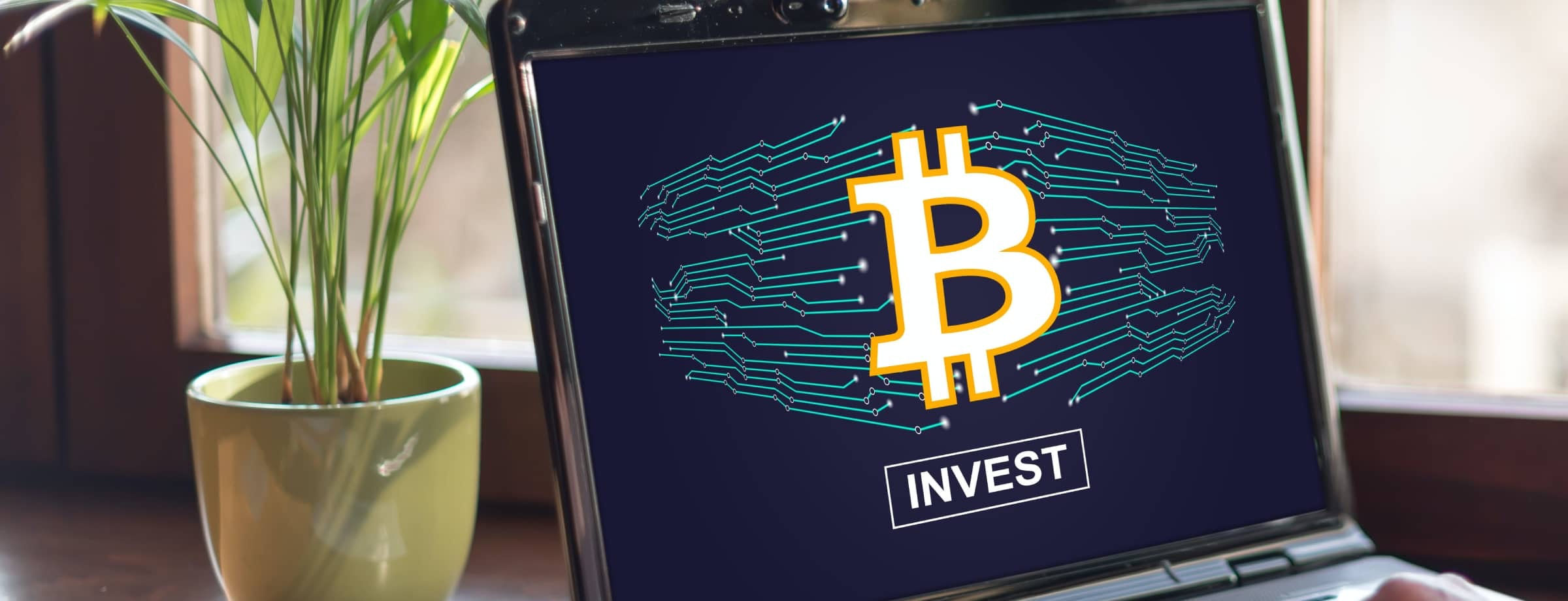 Bitcasino-crypto-investment